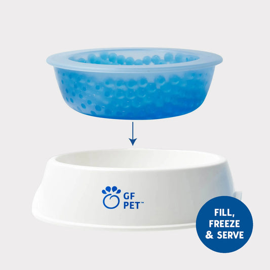 Frozen Dog Bowl